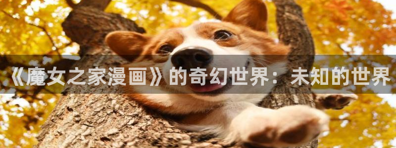 yy漫画免费在线
