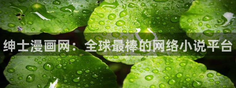 yy漫画在线观看免费