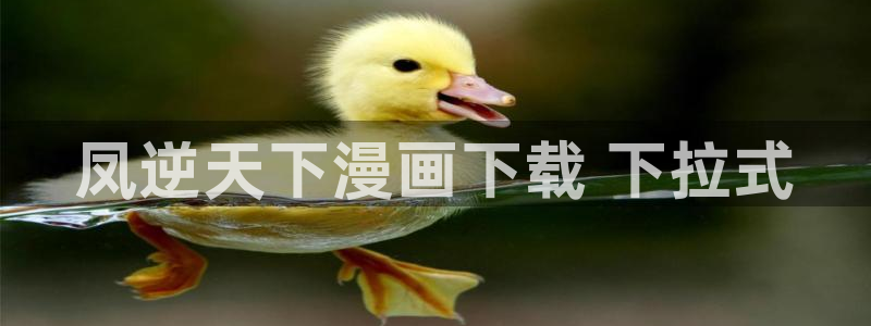 yy漫画下拉式漫画