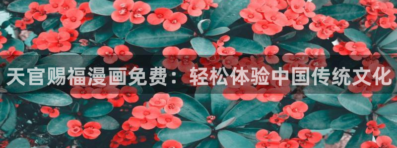 yy漫画免费网页版