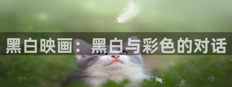 yy漫画免费阅读看漫画下拉